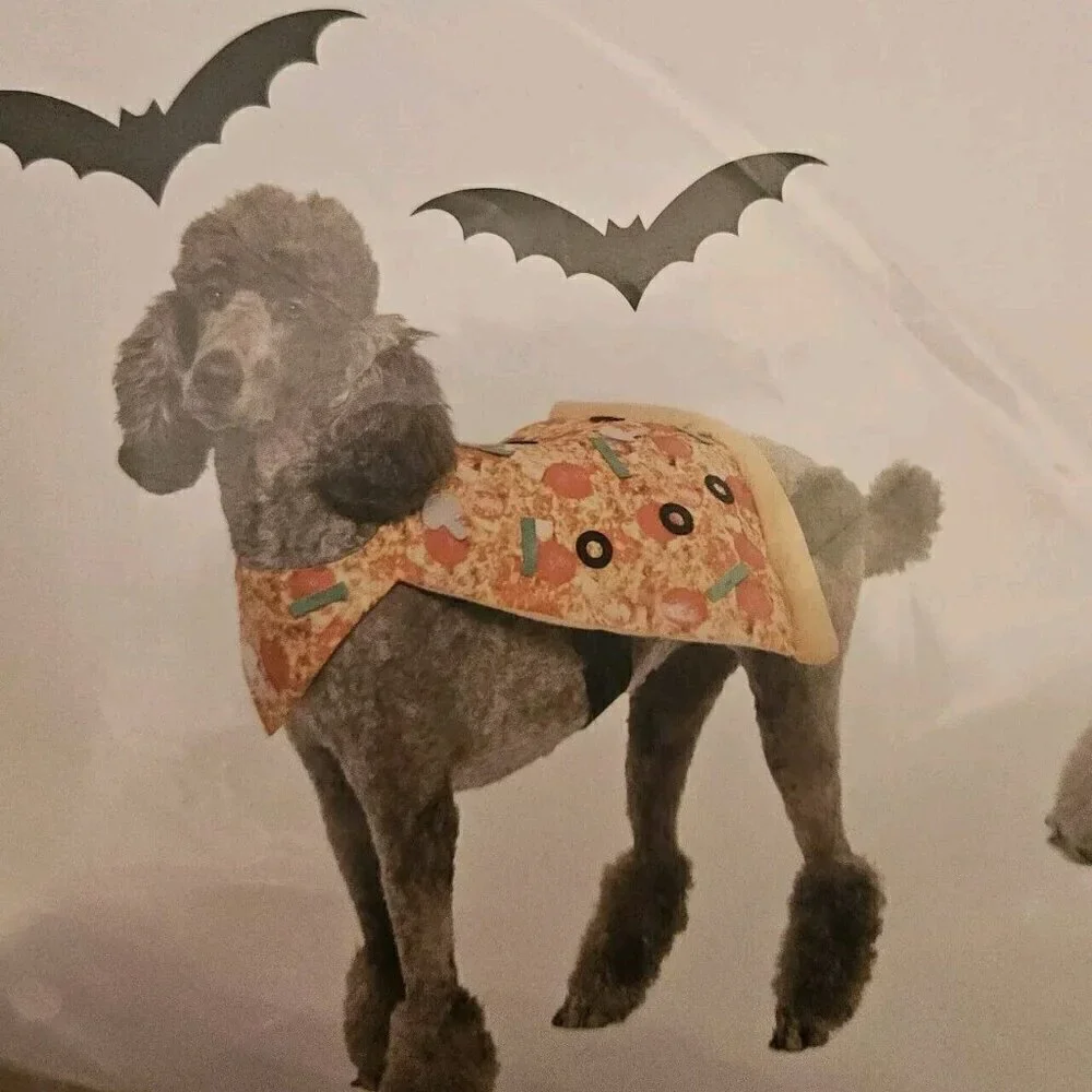 Pet Halloween Costume Cat Dog 
